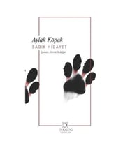 Aylak Köpek