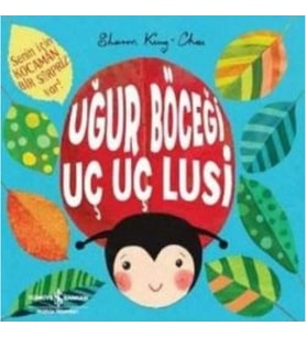 Uğur Böceği Uç Uç Lusi