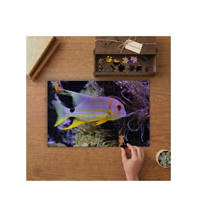 Renkli Okyanus Balığı Tasarımı 240 parça Ahşap Puzzle Ahşap Kutuda MP09265