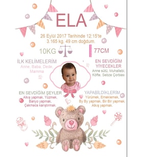 Sevimli Ayıcık Temalı Yaş Panosu