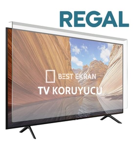 Regal 24NS900 Tv ekran Koruyucu - Regal 24" inç 60 Ekran Koruyucu