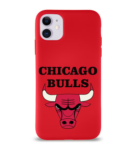 Apple iPhone 11 Uyumlu Lansman Kılıf Chicago Bulls Tasarımlı Altı Kapalı İçi Kadife Kaplı  Kapak (Şeffaf)