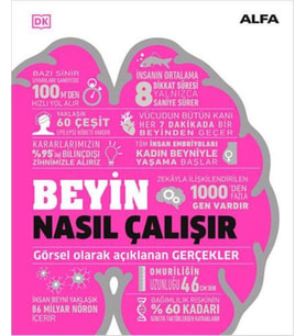 Beyin Nasıl Çalışır - Görsel Olarak Açıklanan Gerçekler / Kolektif - Ciltli