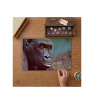 Gorilla- Hayvan Tasarımı 240 parça Ahşap Puzzle Ahşap Kutuda MP00057