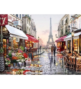 Paris Sayılarla Boyama Seti  40x 50 cm (Tuvale Gerili)