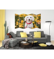 KÖPEK MDF TABLO-2643 MODEL-B