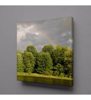 ORMAN VE DENİZ KANVAS TABLO 100x100cm (Karışık)