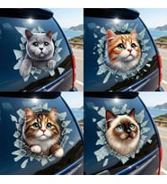Fulcar Kedi Tasarımlı Araç Stickerı