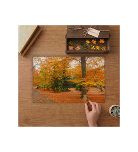 Sonbaharda Ağaçlar Tasarımı 240 parça Ahşap Puzzle Ahşap Kutuda MP04608