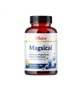 Magsical 730 mg * 60 Kapsül