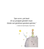 Küçük Prens Tasarımlı Ahşap Poster