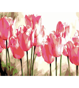 Pembe Laleler Sayılarla Boyama Seti 40x50 cm (Tuvale Gerili)