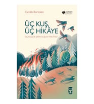 Üç Kuş, Üç Hikâye