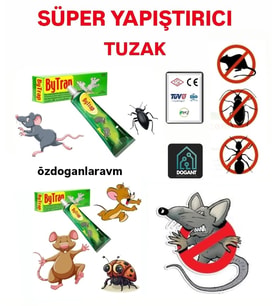Fare ve Böcekler Haşere Zehirsiz  Yapışkan Tuzak