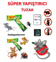 Fare ve Böcekler Haşere Zehirsiz  Yapışkan Tuzak