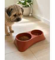 İkili Model Beton Kedi Köpek Mama ve Su Kabı (24cm × 12cm × 5cm) - Kiremit