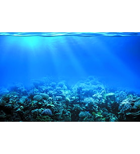 Kanki Pet KP7045022 Akvaryum Arka Fon Yapıştırma  70 x 45 cm