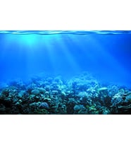 Kanki Pet KP7045022 Akvaryum Arka Fon Yapıştırma  70 x 45 cm