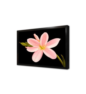 Pembe Çiçek Çerçeveli Mdf Tablo