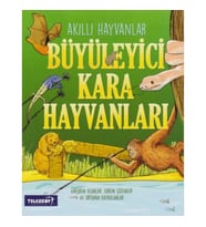 Akıllı Hayvanlar Büyüleyici Kara Hayvanları