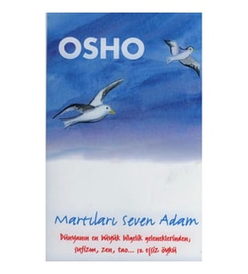 Martıları Seven Adam