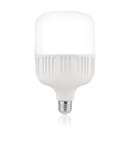 Begüsa Led Torch Ampul Beyaz 30w