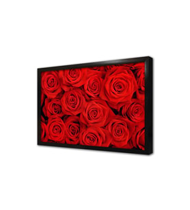 Kırmızı Güller Çerçeveli Cam Tablo