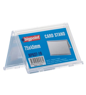 Bigpoint Kart Standı Çift Taraflı 75x45mm
