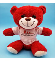 Peluş Oyuncak Ayi & Hediyelik Tisortlu Seni Seviyorum Yazılı Baskılı Ayıcık