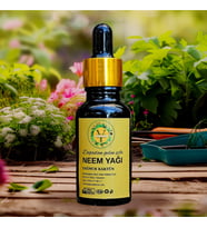 %100 Organic Böcek İlacı Soğuk Sıkım Neem Yağı (Tesbih Ağacı Yağı) 20 Ml (Şeffaf)