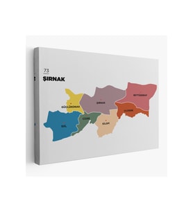 Şırnak İli ve İlçeler Haritası  Dekoratif Kanvas Tablo 1461