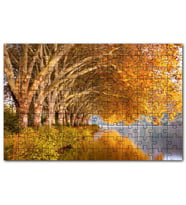Cakapuzzle Sonbahar Rengi Ağaçlar ve Durgun Göl Puzzle Yapboz MDF (Ahşap) (120 Parça)
