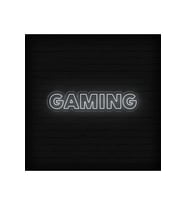 GAMING Yazılı Neon Tabela