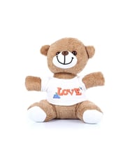 Love Tişörtlü Peluş Ayıcık