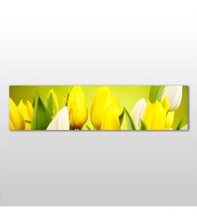 Sarı Laleler  Kanvas Tablo 120x40cm (Karışık)