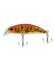 Sea Horse Rs5-Sparkle 50mm 4Gr Honey Tiger Shrimp