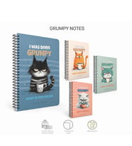 GIPTA GRUMPY 80YP ÇİZGİLİ SPİRALLİ KARTON KAPAK OKUL DEFTERİ