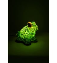 Lumino Frog Ubud (Çok Renkli)