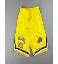 Basketbol Şortu (Sarı)