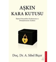 Aşkın Kara Kutusu