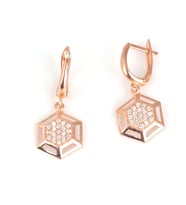 925 Ayar Gümüş Altıgen Küpe (Rose)