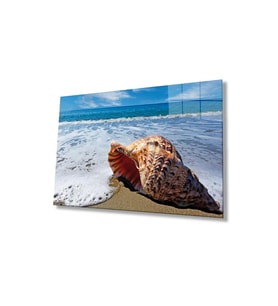 Deniz Manzarası Cam Tablo 4mm Dayanıklı Temperli Cam, Sea View Glass Wall Art (Çok Renkli)