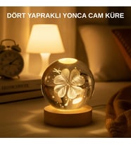 Usb Bağlantılı Yonca Bitkili Cam Küre Ahşap Altlıklı Dekoratif Lamba