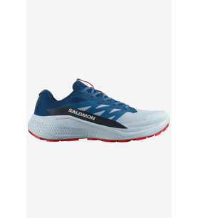 Salomon Alphaglide Erkek Patika Koşusu Ayakkabı (Mavi)