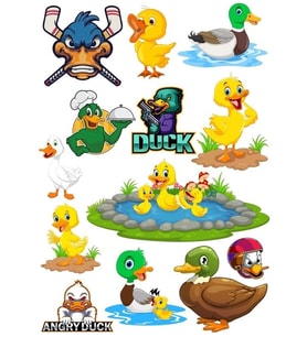 Ördek Temalı Sticker Set-1 13 Parça Telefon, Tablet, Defter, Laptop Sticker