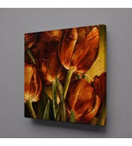 LALELER KANVAS TABLO 70x70cm (Karışık)