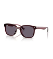 RB 4461D 710/13 64 Ray-Ban Güneş Gözlüğü