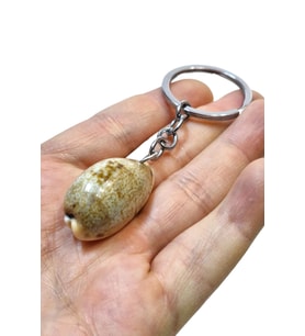 Deniz Kabuğu Anahtarlık Cowrie Shell 310