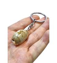 Deniz Kabuğu Anahtarlık Cowrie Shell 310