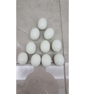 SAHTE BILDIRCIN YUMURTA 12 ADET İÇİ DOLU PLASTİK YUMURTA FOLLUK YAPAY YUMURTA